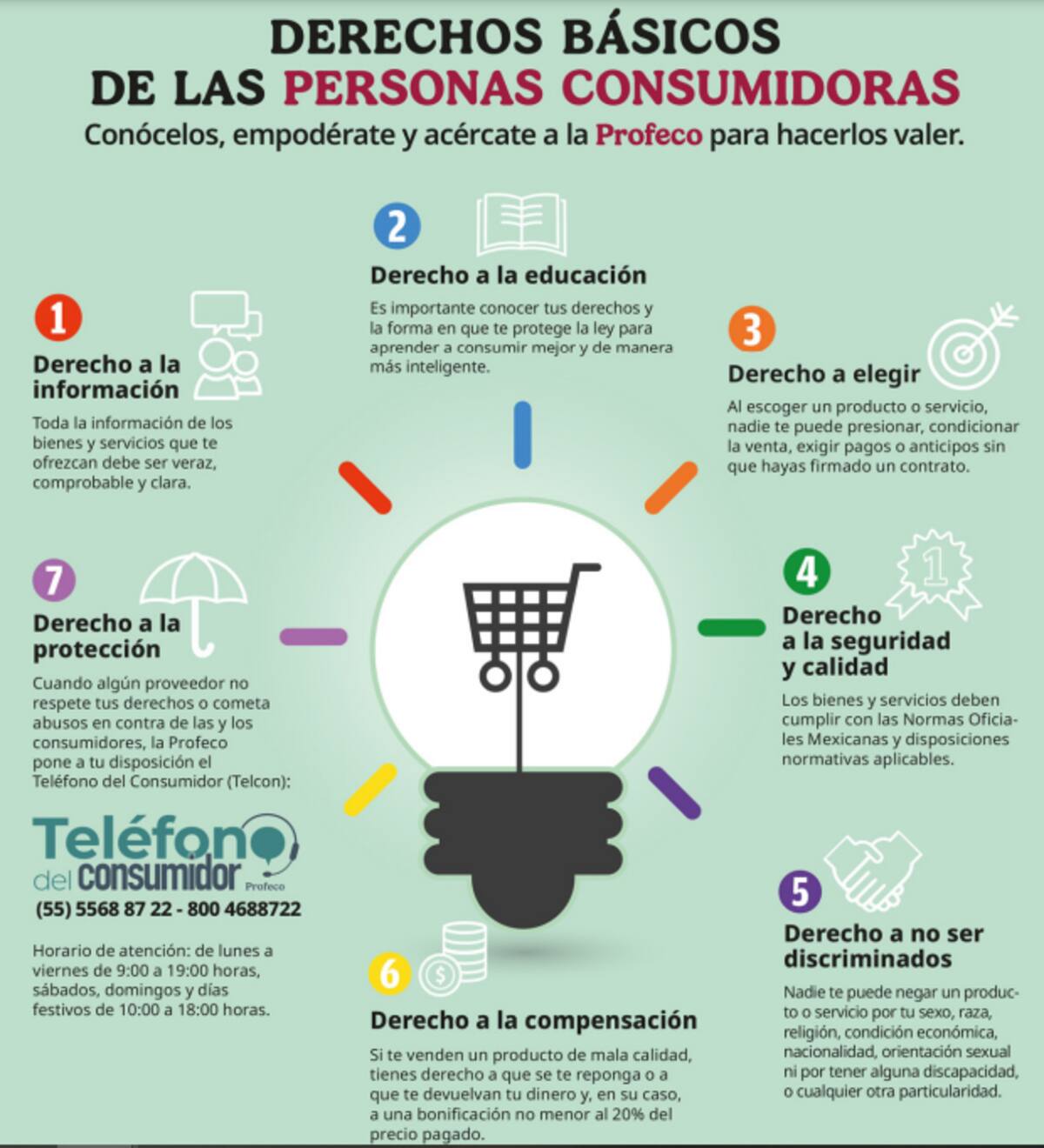 Derechos básicos de las personas consumidoras. / Revista del consumidor. - PROFECO.