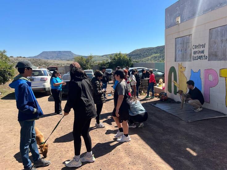 Perrera Municipal de Rosarito se acerca a su máxima capacidad