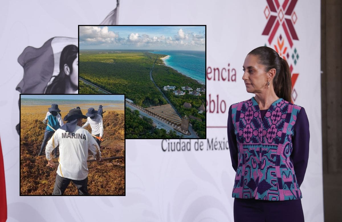 Claudia Sheinbaum visitará Tulum para escuchar las quejas por los cobros y accesos al Parque del Jaguar, además de revisar las zonas afectadas por el sargazo. | Foto: Presidencia