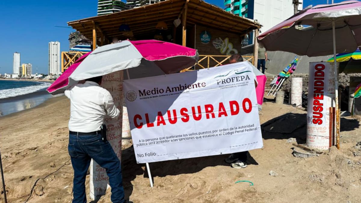 Profepa clausura obra en playa de Mazatlán: detectan pilotes de concreto sin autorización y riesgo al ecosistema costero