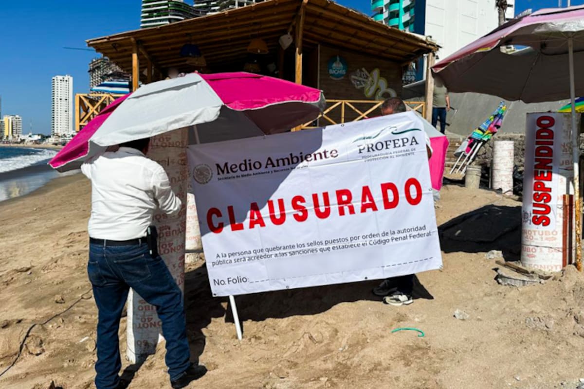 Profepa clausura obra en playa de Mazatlán: detectan pilotes de concreto sin autorización y riesgo al ecosistema costero