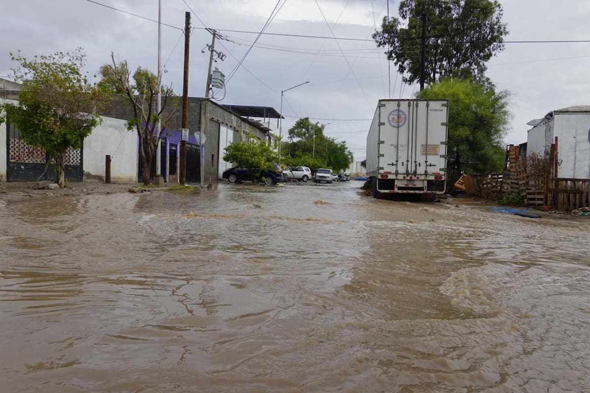 Basura arrastrada por Rachel evidencia fallas en recolección e impunidad ambiental en Tijuana: CostaSalvaje