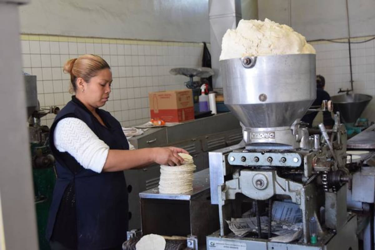 Gobierno descarta alza en tortilla por costos de maíz, mientras productores confirman aumento de hasta 4 pesos desde el 15 de abril, por rezago acumulado del 16%