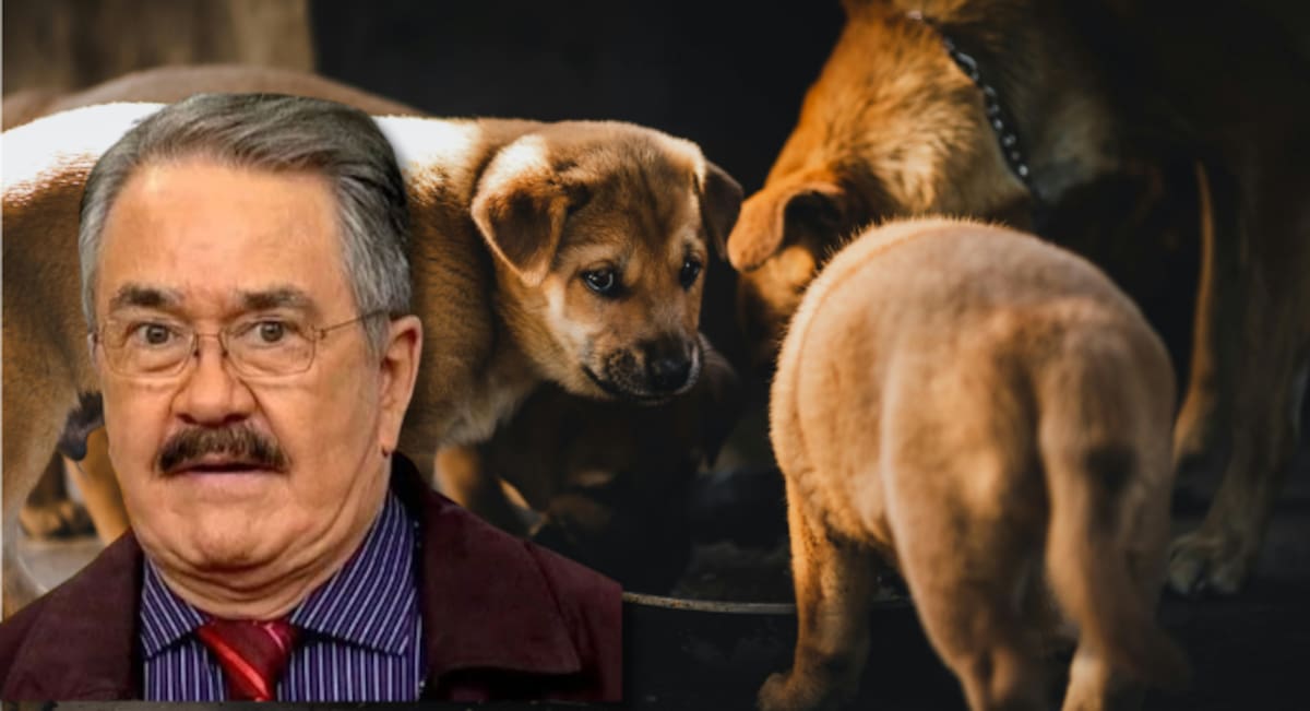 Convocan a marcha contra Pedro Sola frente a TV Azteca tras polémica por comentarios sobre perros