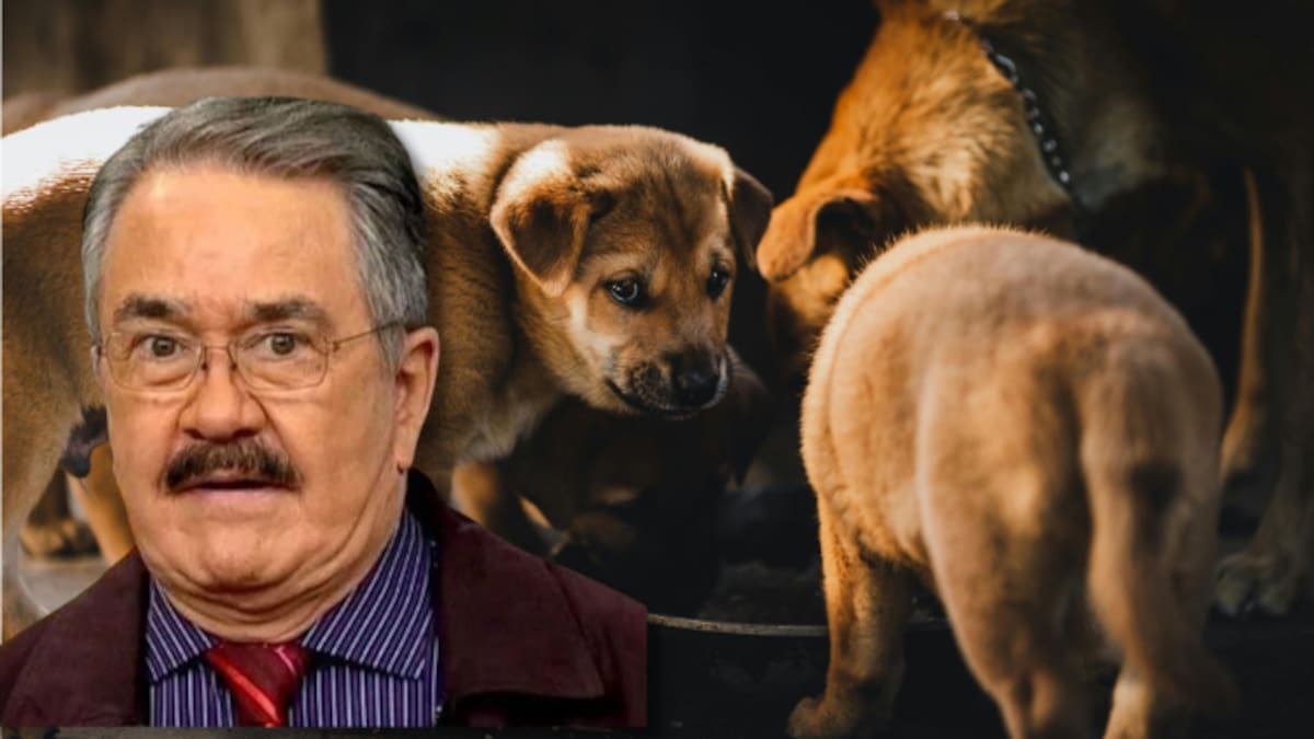Convocan a marcha frente a TV Azteca para pedir la salida de Pedro Sola tras polémica por comentarios sobre perros