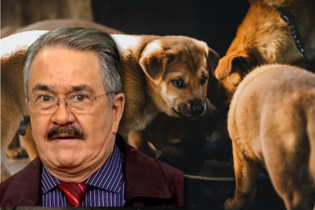 Convocan a marcha frente a TV Azteca para pedir la salida de Pedro Sola tras polémica por comentarios sobre perros