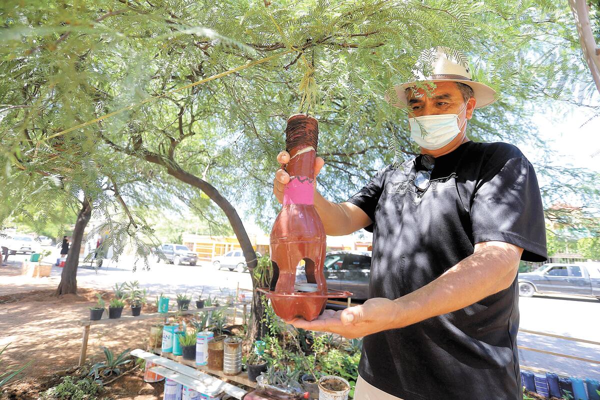 En dos años, vecinos transforman el parque en la colonia Adolfo de la Huerta.