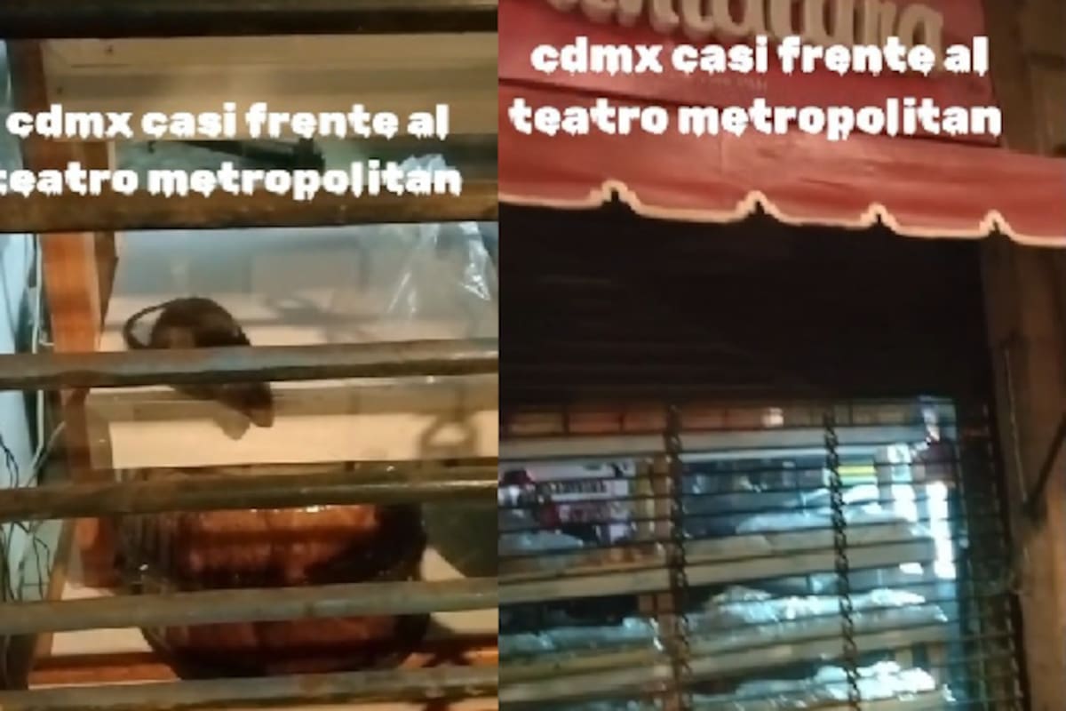 VIDEO: Rata es sorprendida dentro de una pastelería cerca del Teatro Metropólitan