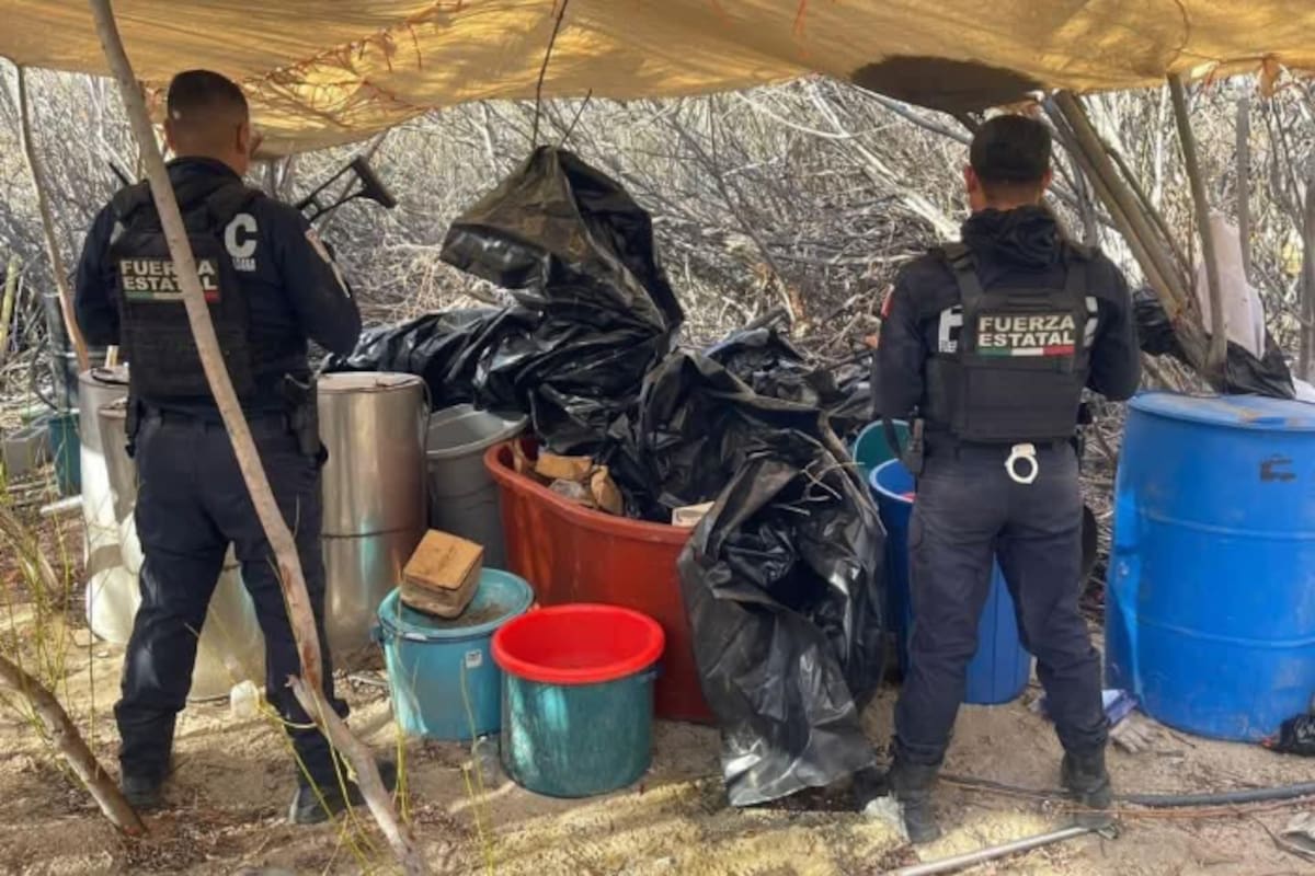 Mientras refuerzan combate al crimen organizado, desmantelan 22 narcolaboratorios en Baja California desde 2022