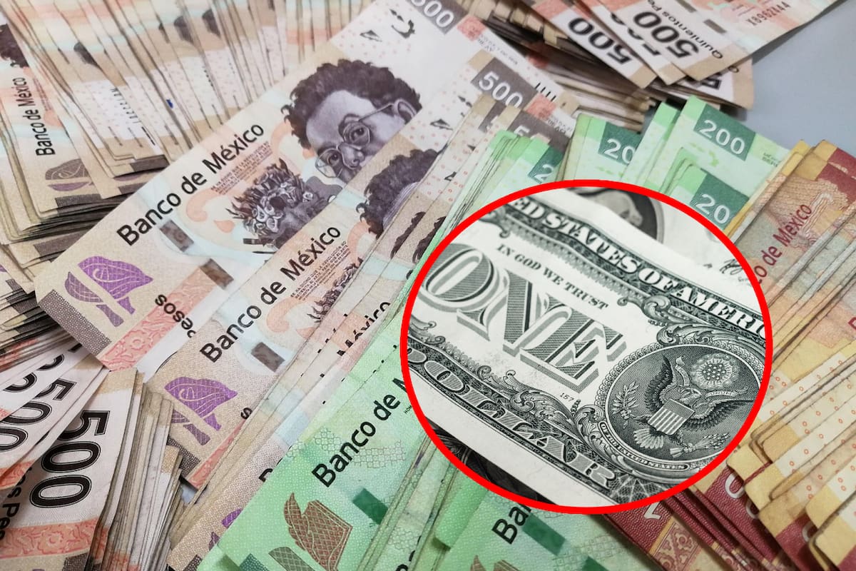Peso se mantiene al margen ante el dólar, cerrando en 20.36 este lunes 10 de marzo