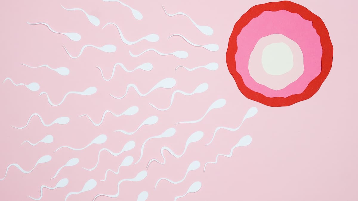 La alteración provoca el síndrome de Li-Fraumeni, que otorga a quienes la portan hasta 90% de probabilidades de desarrollar cáncer, especialmente durante la infancia, y aumenta el riesgo de cáncer de mama en la edad adulta. Foto: Canva