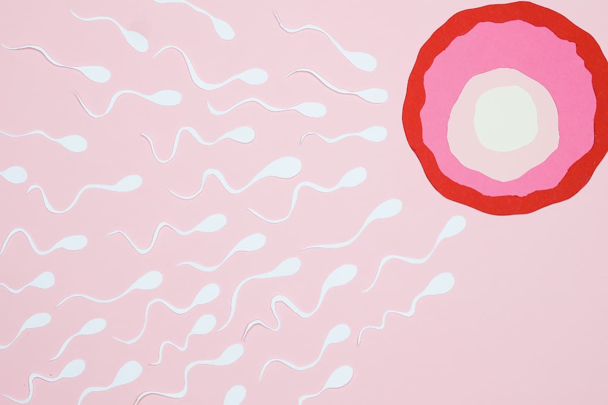 ¿Por qué está bajando la calidad del esperma? Expertos explican cómo se está deteriorando la fertilidad masculina