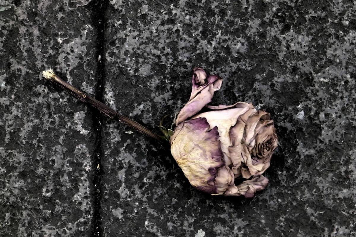 Fallece niña de 12 años por mutilación genital en Egipto