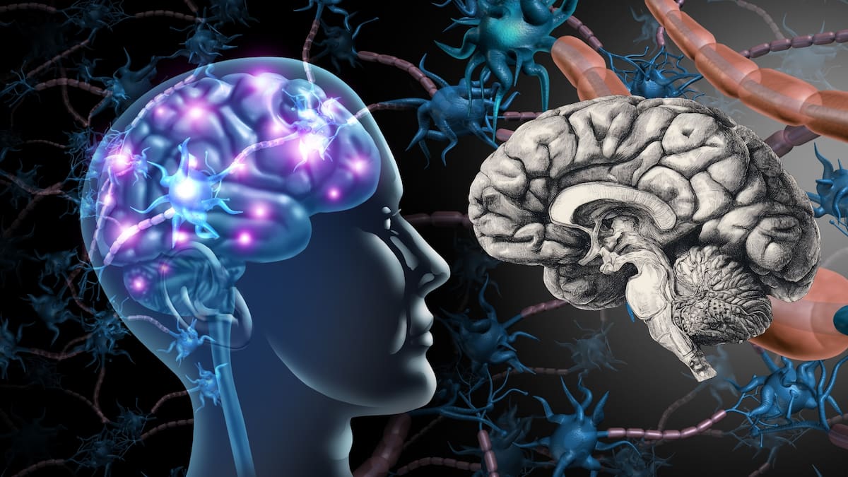 El dispositivo de microondas fue analizado por autoridades estadounidenses tras el incidente.