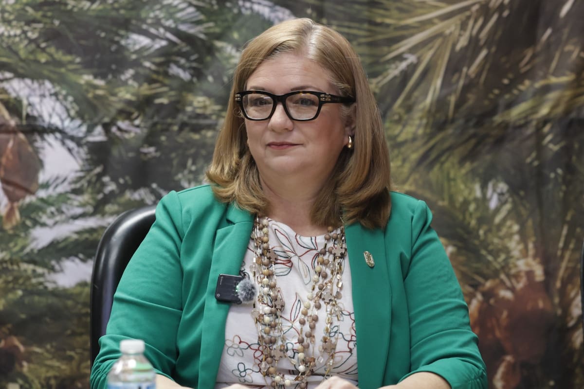 Planean reactivación de vuelos tras dos meses de pausa