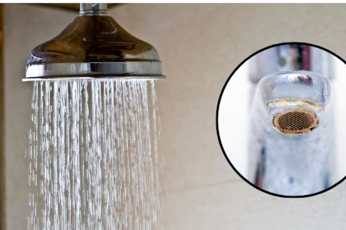 El truco con ácido cítrico que ayuda a eliminar el sarro de la regadera y mejora el flujo del agua sin esfuerzo excesivo