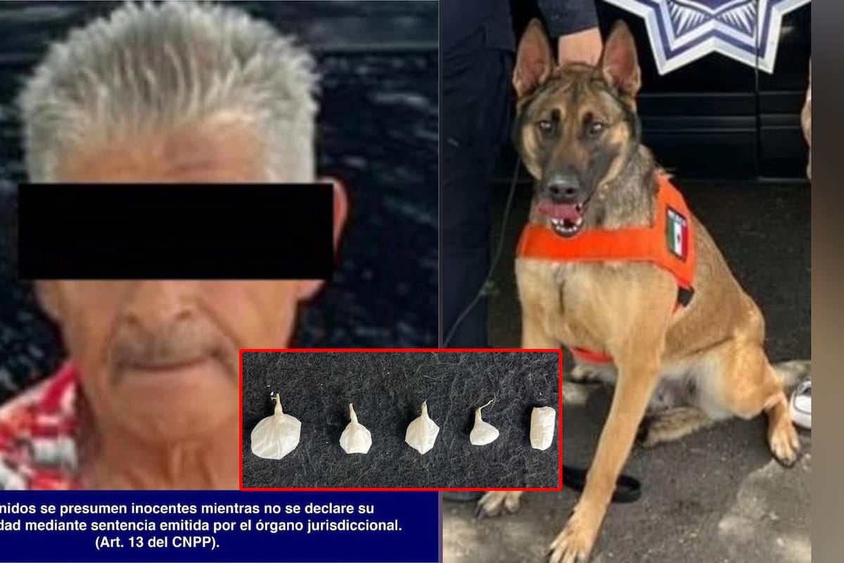 Alerta K-9 del Gobierno de Sonora sobre sustancia ilícita en Hermosillo