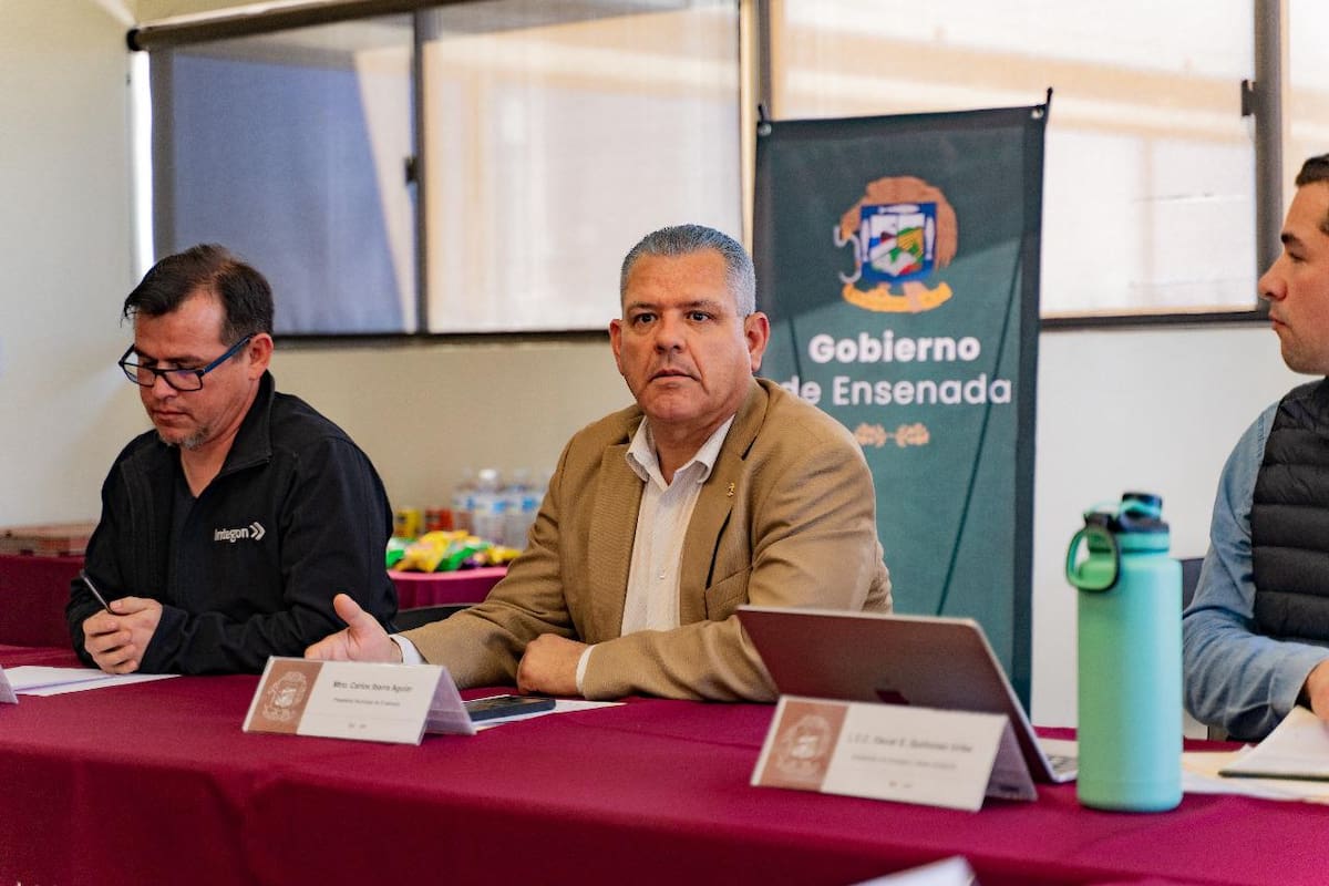 Buscan mejorar rescates de perros abandonados y maltratados