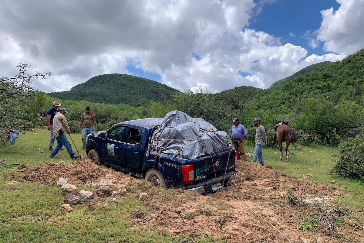 Asociación Naturalia solicita apoyo para adquirir camioneta y continuar conservación de especies en la Sierra Madre Occidental