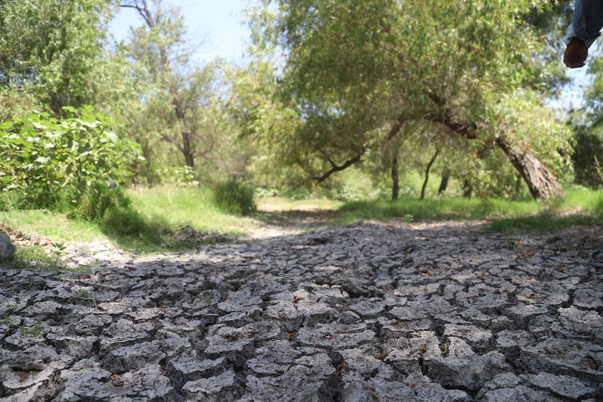 Se acaba el tiempo en el Arroyo Alamar