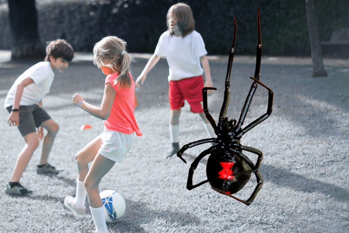 Tres niños se dejaron morder por una araña viuda negra para convertirse en Spider-Man