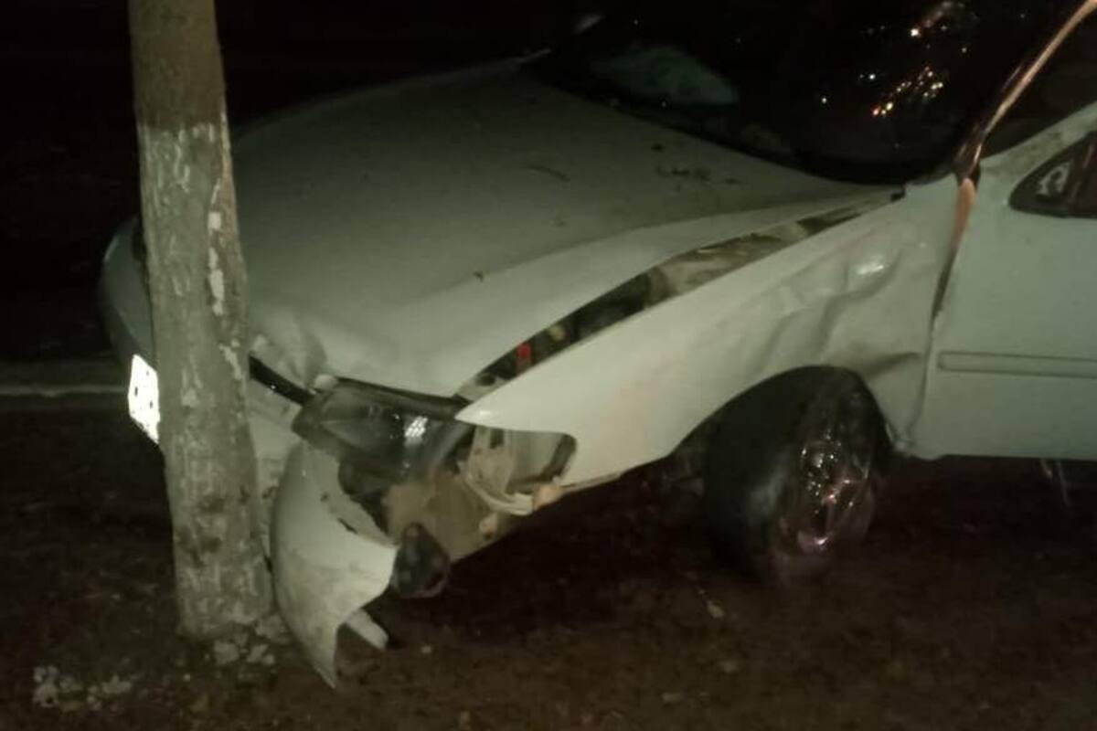 Se le “atraviesa” un árbol a conductor
