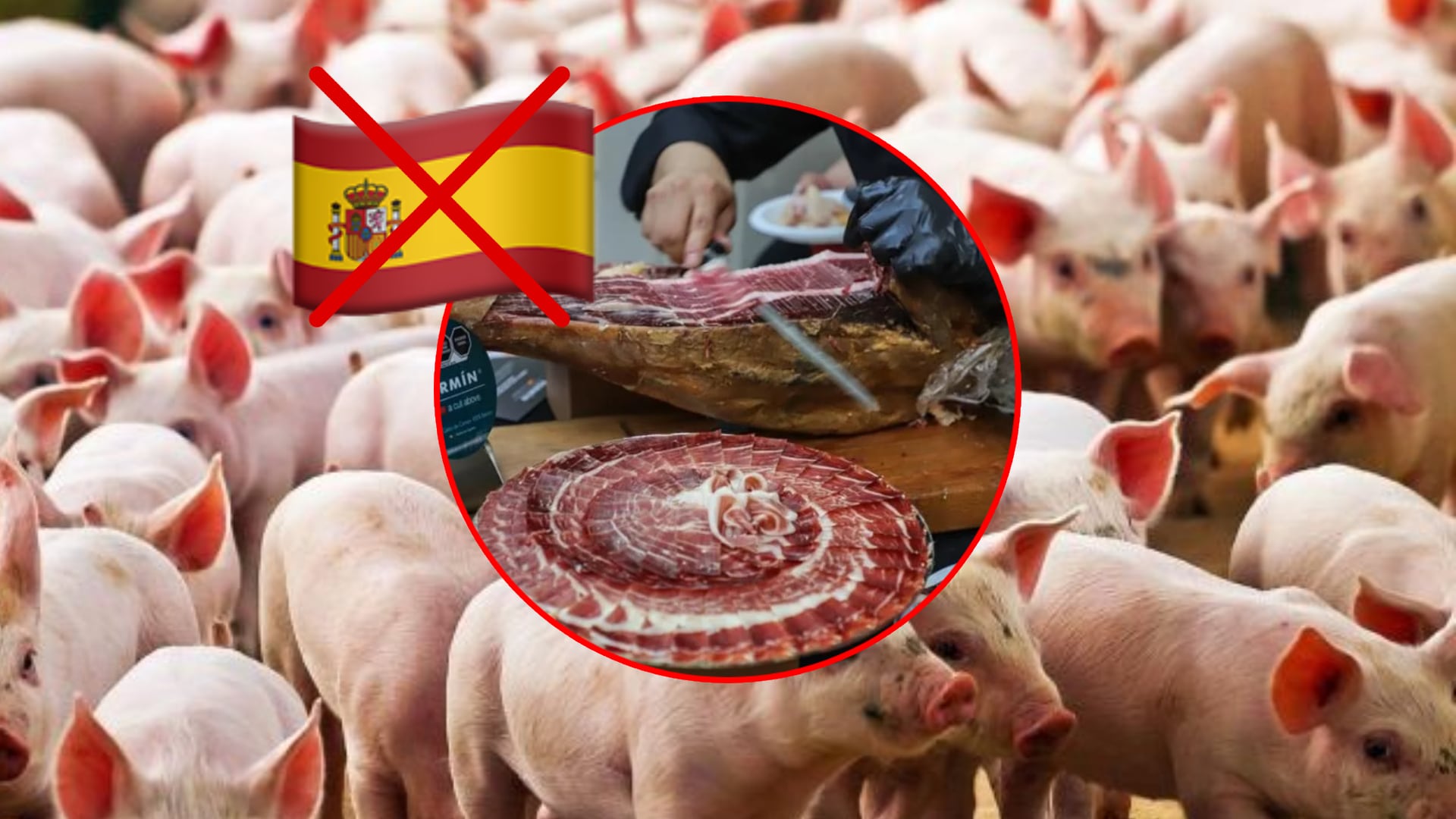 Vetan ingreso a la carne de cerdo proveniente de España a México. | Especial