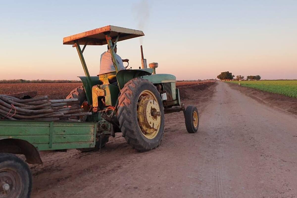 Preocupa a sector agrícola mexicano polémica por la ley energética: GCMA