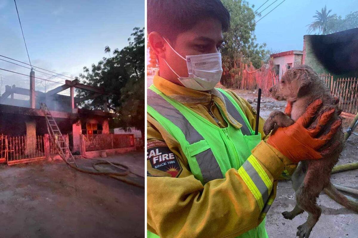 Rescata Bomberos a adulto mayor y tres cachorros de un incendio