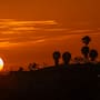 Tijuana registra amanecer dorado de verano
