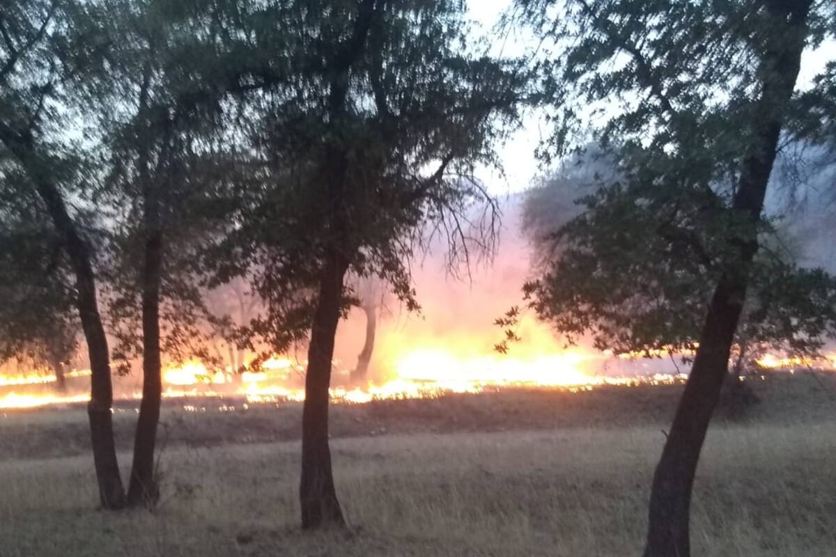 Emiten recomendaciones para prevenir incendios forestales en Nogales