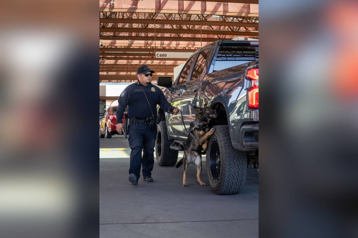Segunda inspección de CBP: ¿por qué pueden revisar tu auto en la frontera?