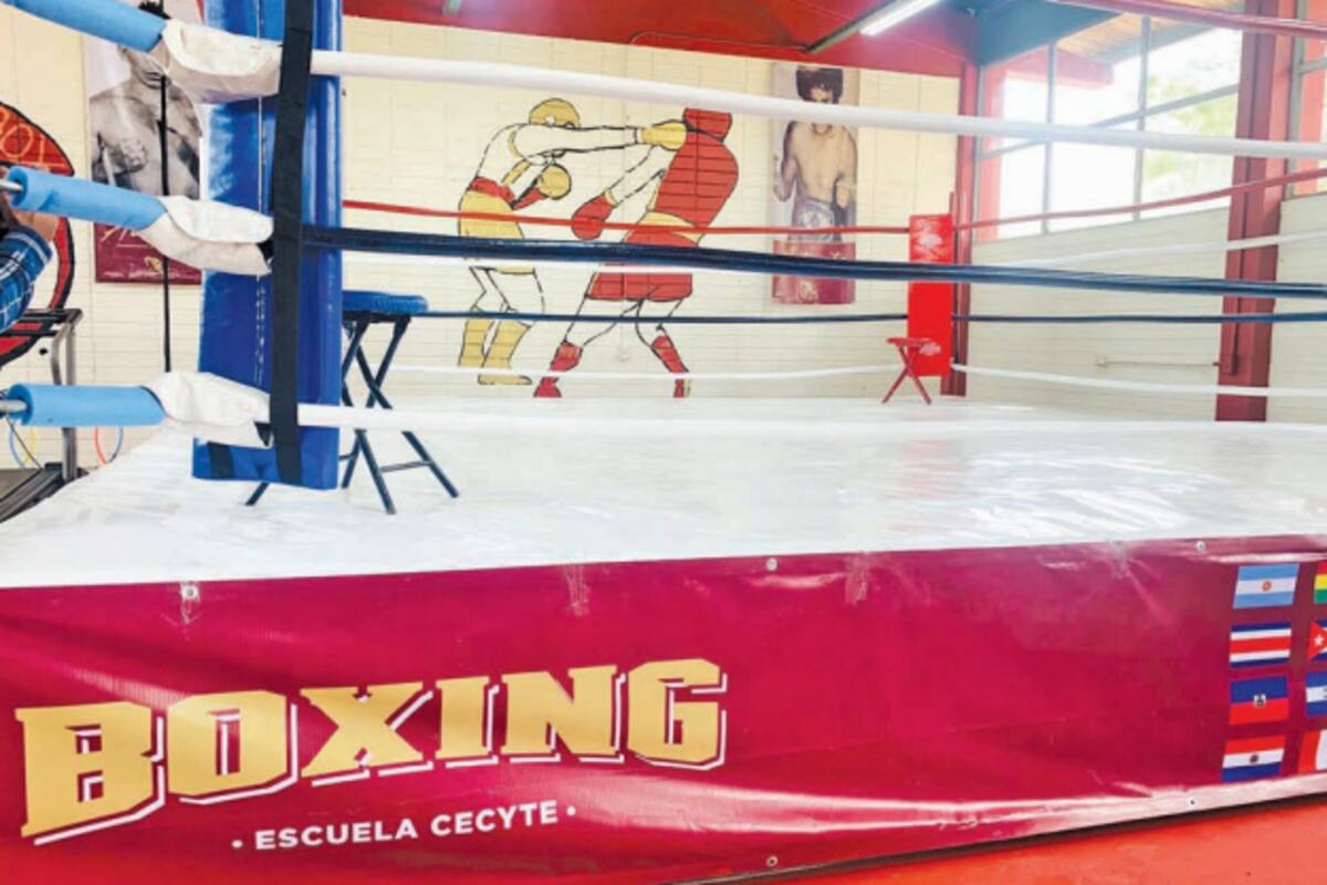 Crean oportunidades en el boxeo