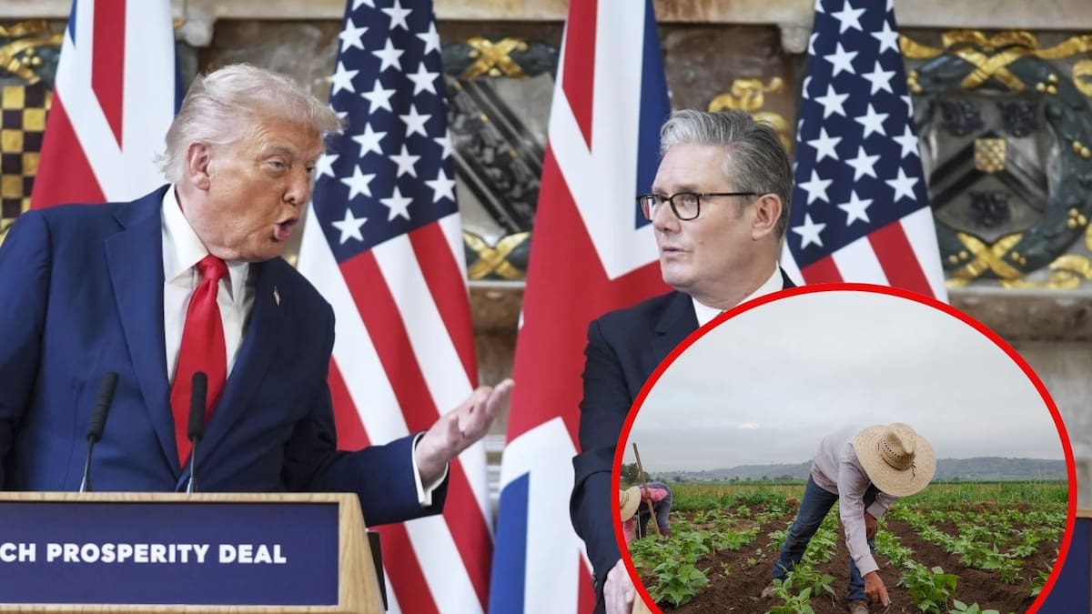 El efecto Trump ‘salpica’ a Reino Unido: Keir Starmer impondrá identificación digital para frenar trabajo ilegal de inmigrantes