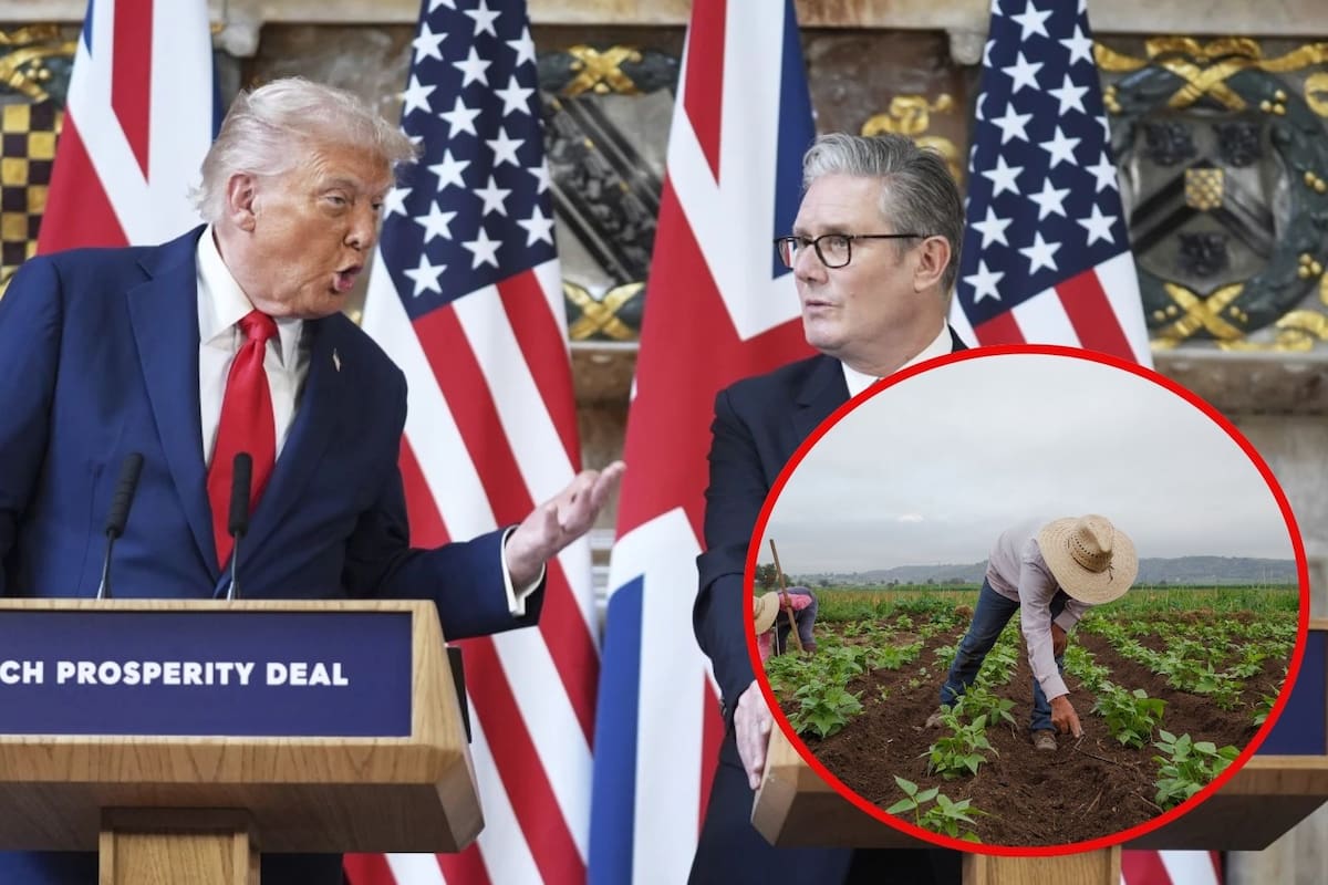 El efecto Trump ‘salpica’ a Reino Unido: Keir Starmer impondrá identificación digital para frenar trabajo ilegal de inmigrantes