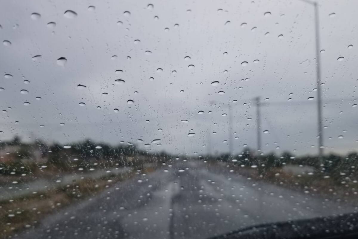 Caen lluvias muy bien a ganaderos