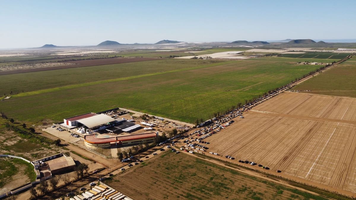 Foto: Alejandro Zepeda