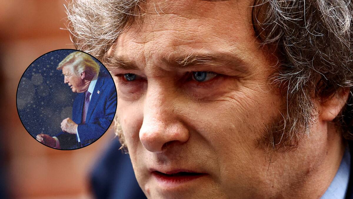 Argentina se une a la “Junta de la Paz para Gaza” creada por Donald Trump. Foto: Reuters