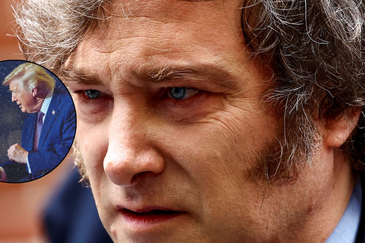 Así fue como Javier Milei le agradeció a Trump por integrarlo a la “Junta de la Paz para Gaza”