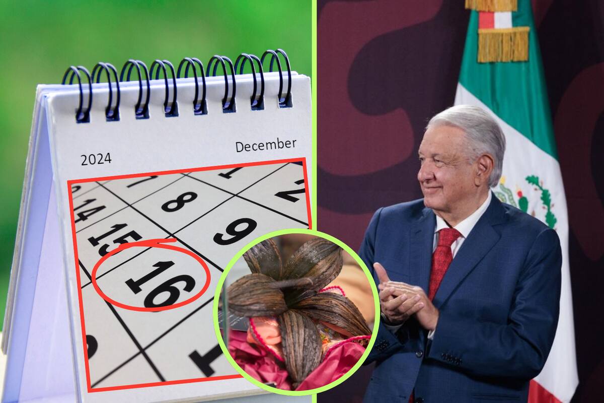 Día Nacional de la Vainilla: ¿Qué significa la nueva fecha decretada por el Gobierno de AMLO?