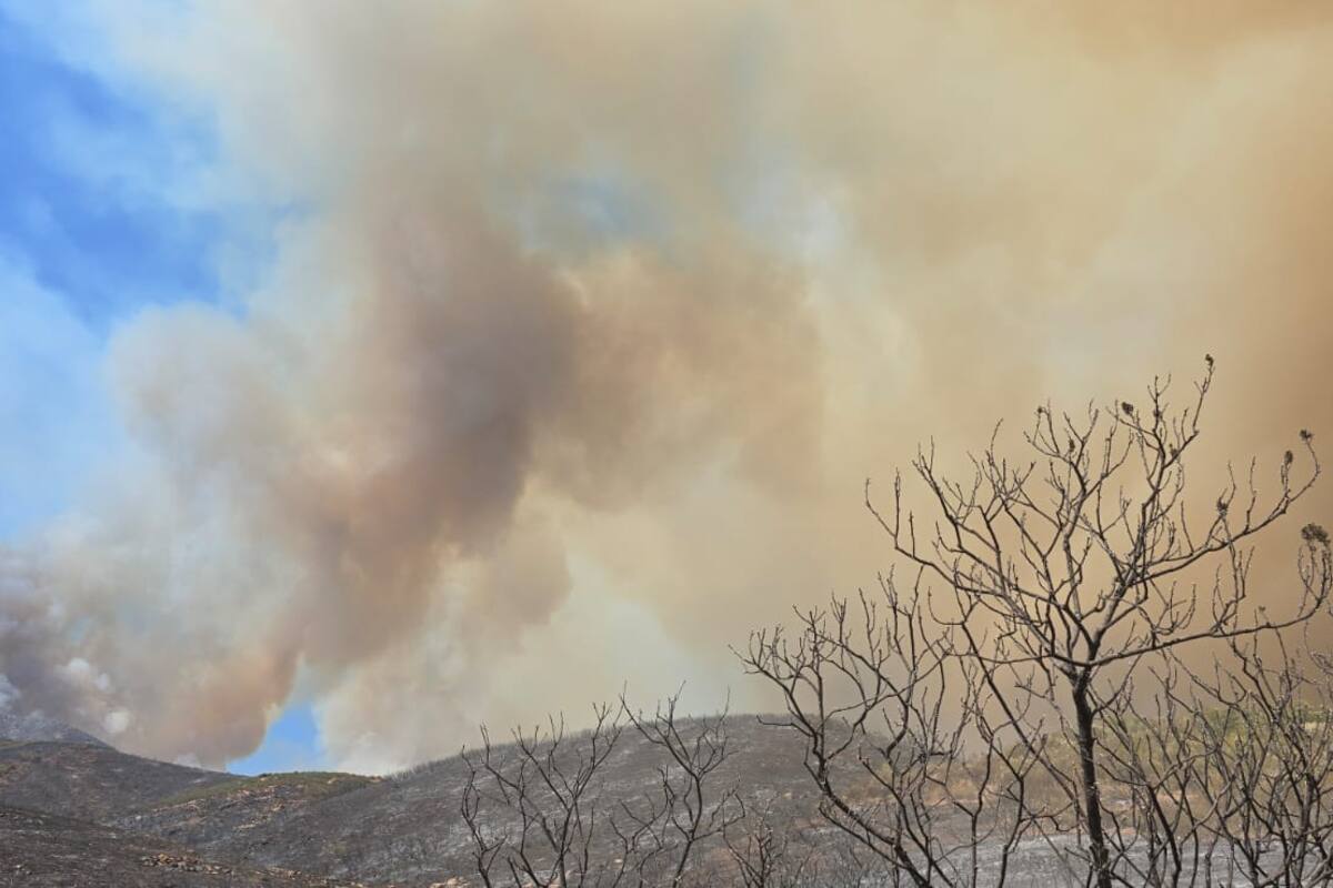 Alrededor de 800 hectáreas consumidas en el paraje Rancho El Mogor
