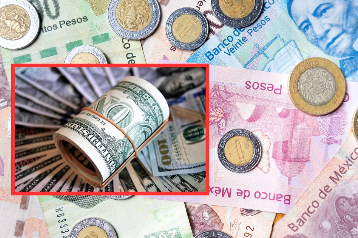 Precio del dólar sufre caída ante el peso mexicano: ¿En cuánto se cotiza el dólar este 14 de marzo del 2025?
