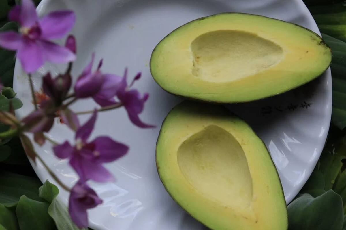 Consumo excesivo de aguacate puede dañar tus riñones e hígado