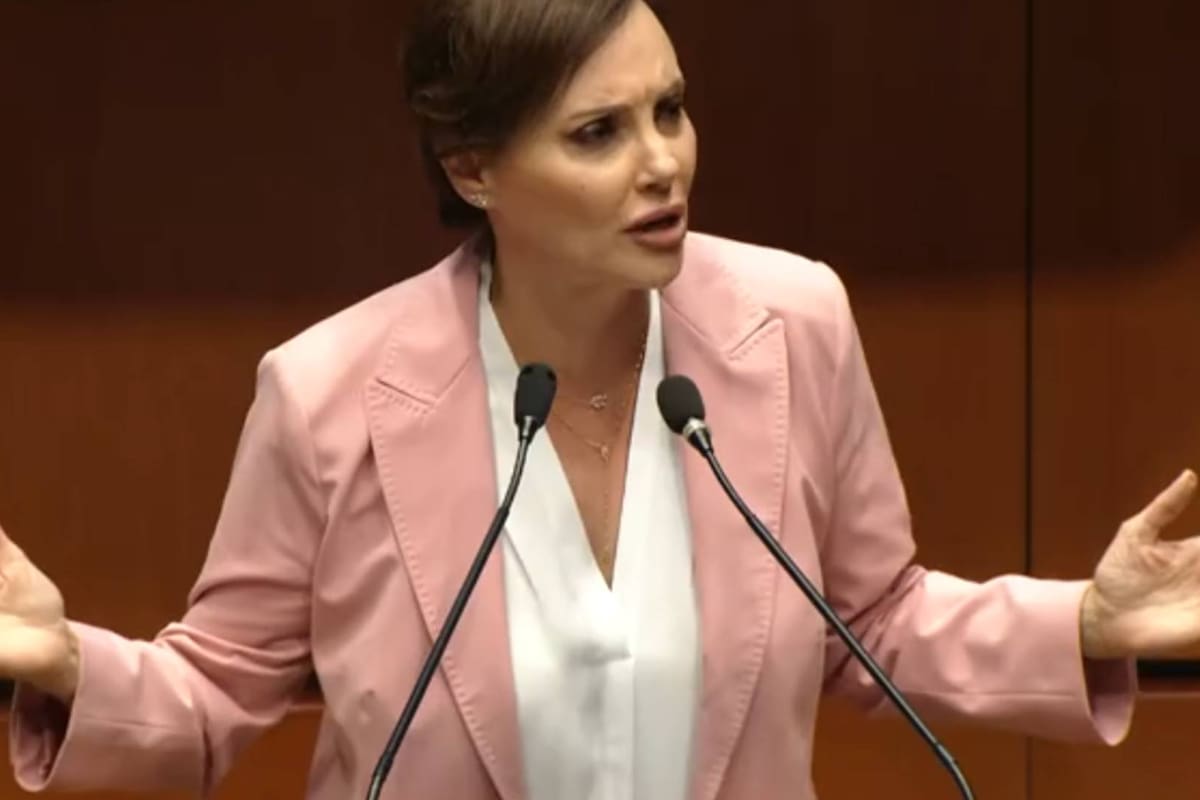 “Ha sido un verdadero triunfo que 87 millones de mexicanos les hayan dicho que NO a Sheinbaum”: Lilly Tellez tras resultados de la elección Judicial