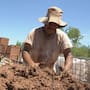 Entre jornadas bajo el Sol y hornos que alcanzan mil 200°C, ladrilleros de Hermosillo mantienen vivo un oficio familiar de más de 90 años pese al calor, la falta de mano de obra y la caída de la demanda