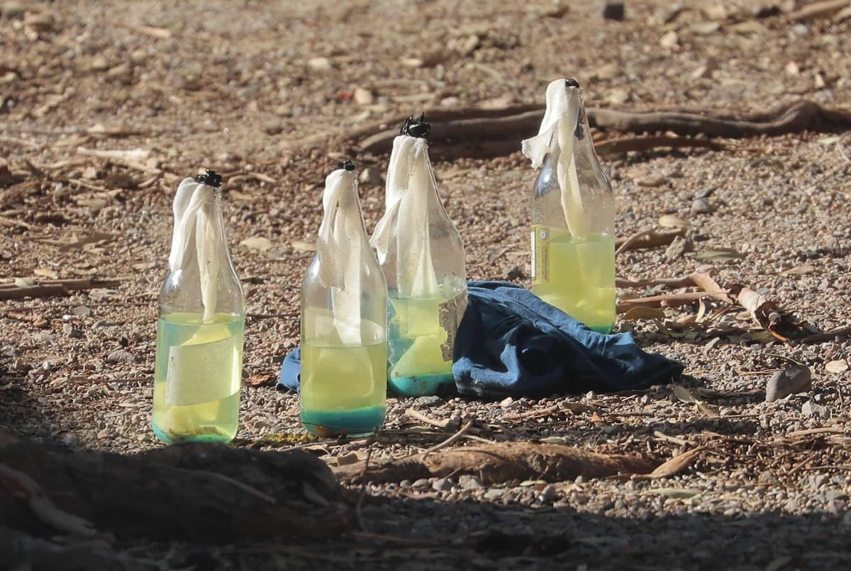 Bombas molotov en la primaria Vicente Guerrero.