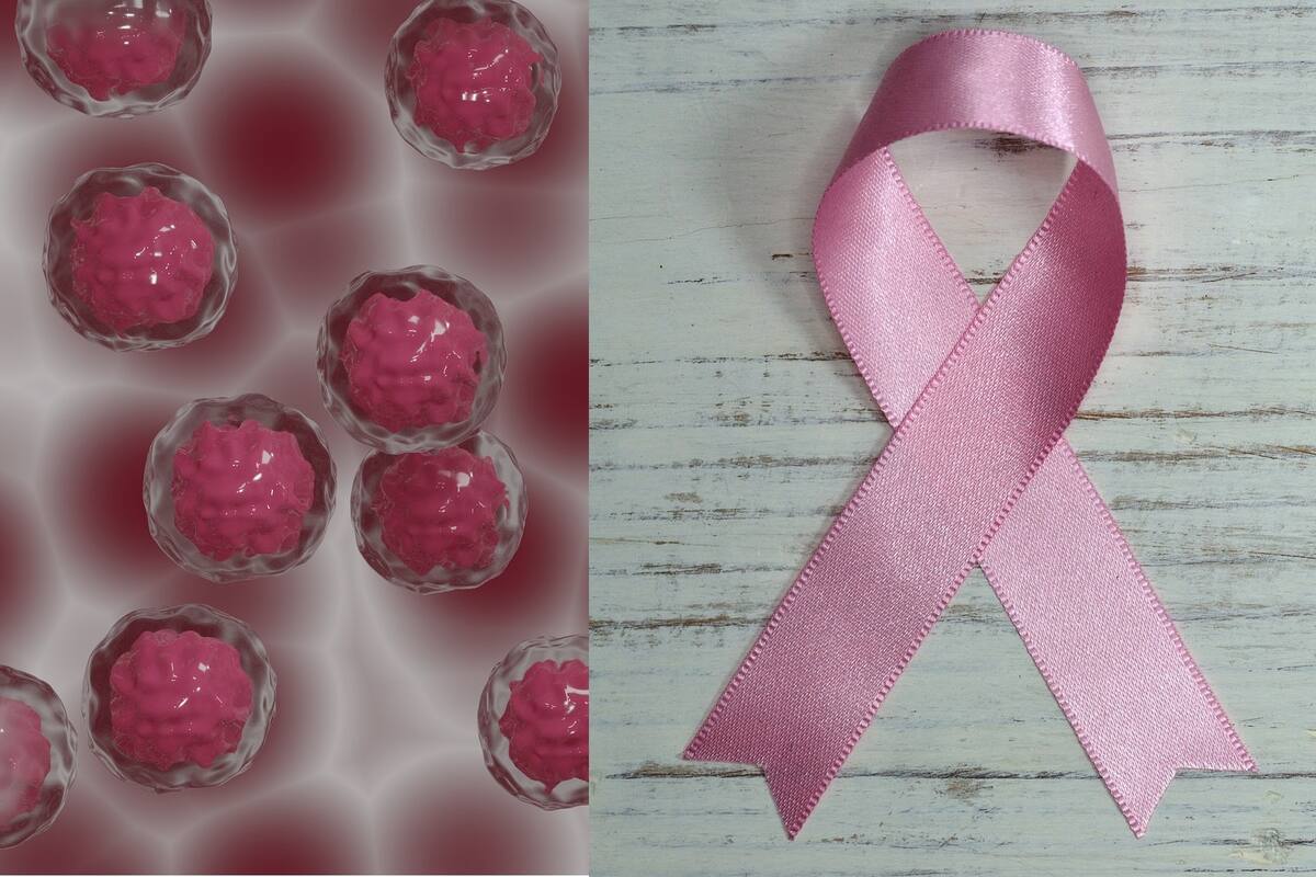 Algoritmo puede dar a conocer los tratamientos más adecuados para trastornos genéticos y cáncer