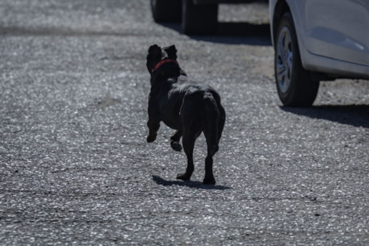 Seguirá el calor intenso en mexicali: sensación térmica de 42 grados este jueves