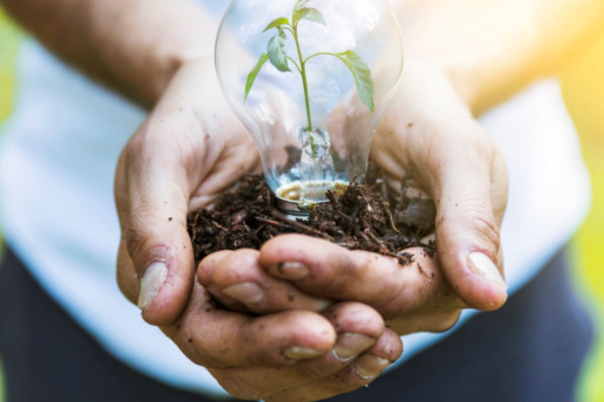 Día de la Tierra, ¿Por qué lo celebramos el 22 de abril y qué actividades se llevarán a cabo este año?
