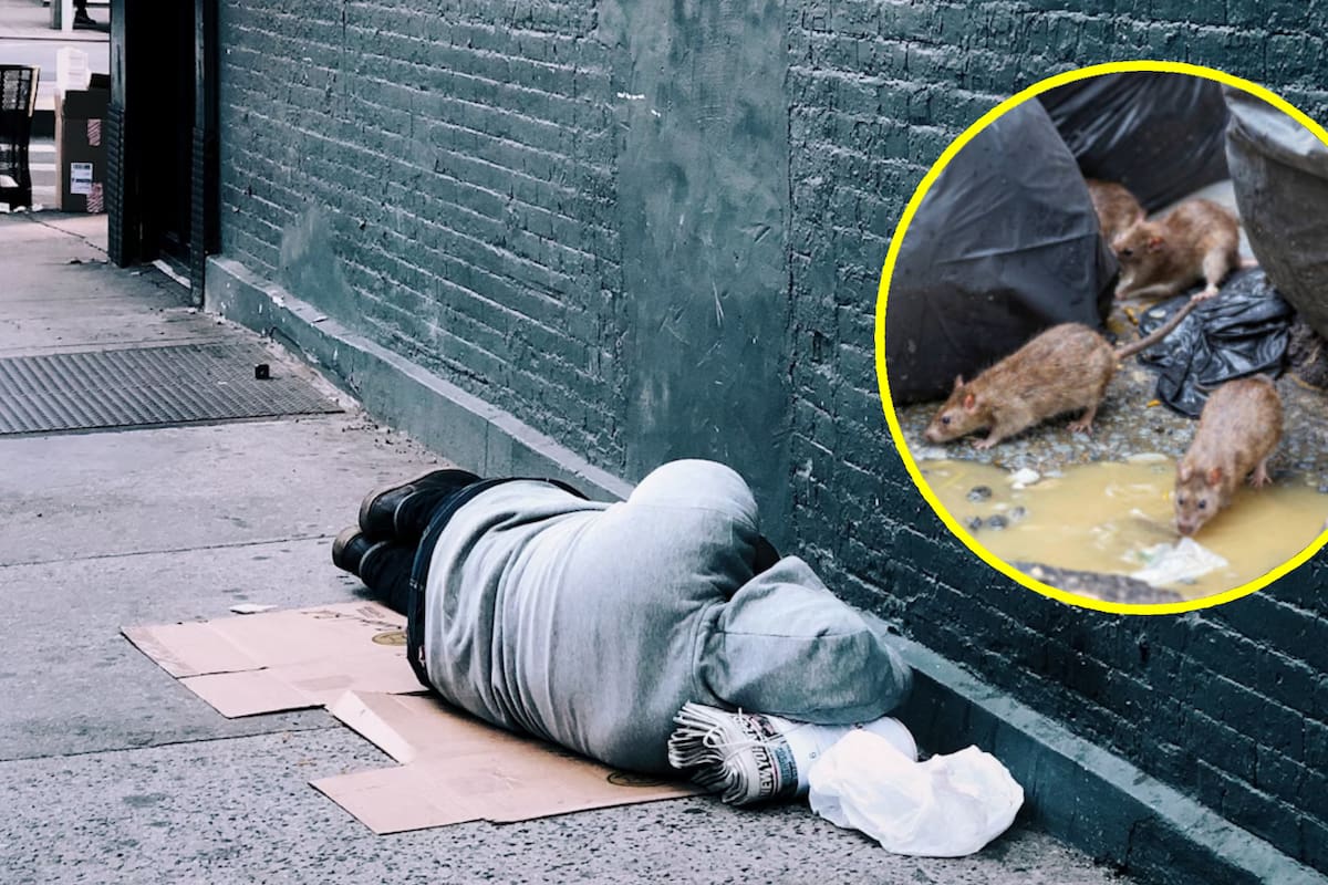 Mujer ebria se queda dormida y ratas la devoran en Rusia; pierde las piernas